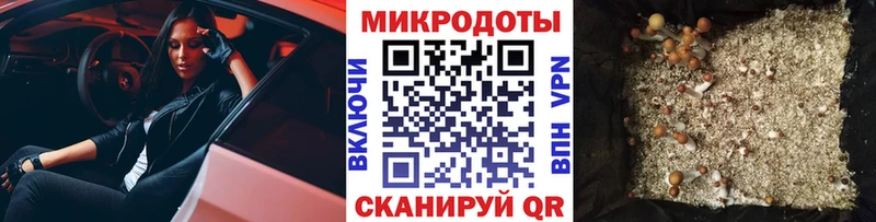 МЕГА   Кропоткин  Галлюциногенные грибы прущие грибы 